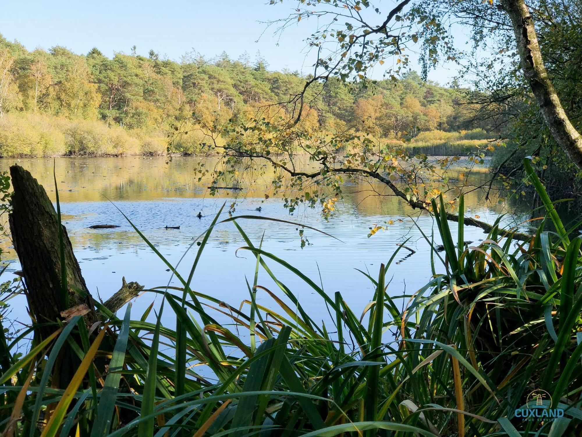 Auszeit Am Wernerwald Im Haus Frauenpreiss Διαμέρισμα Κουξχάφεν Εξωτερικό φωτογραφία