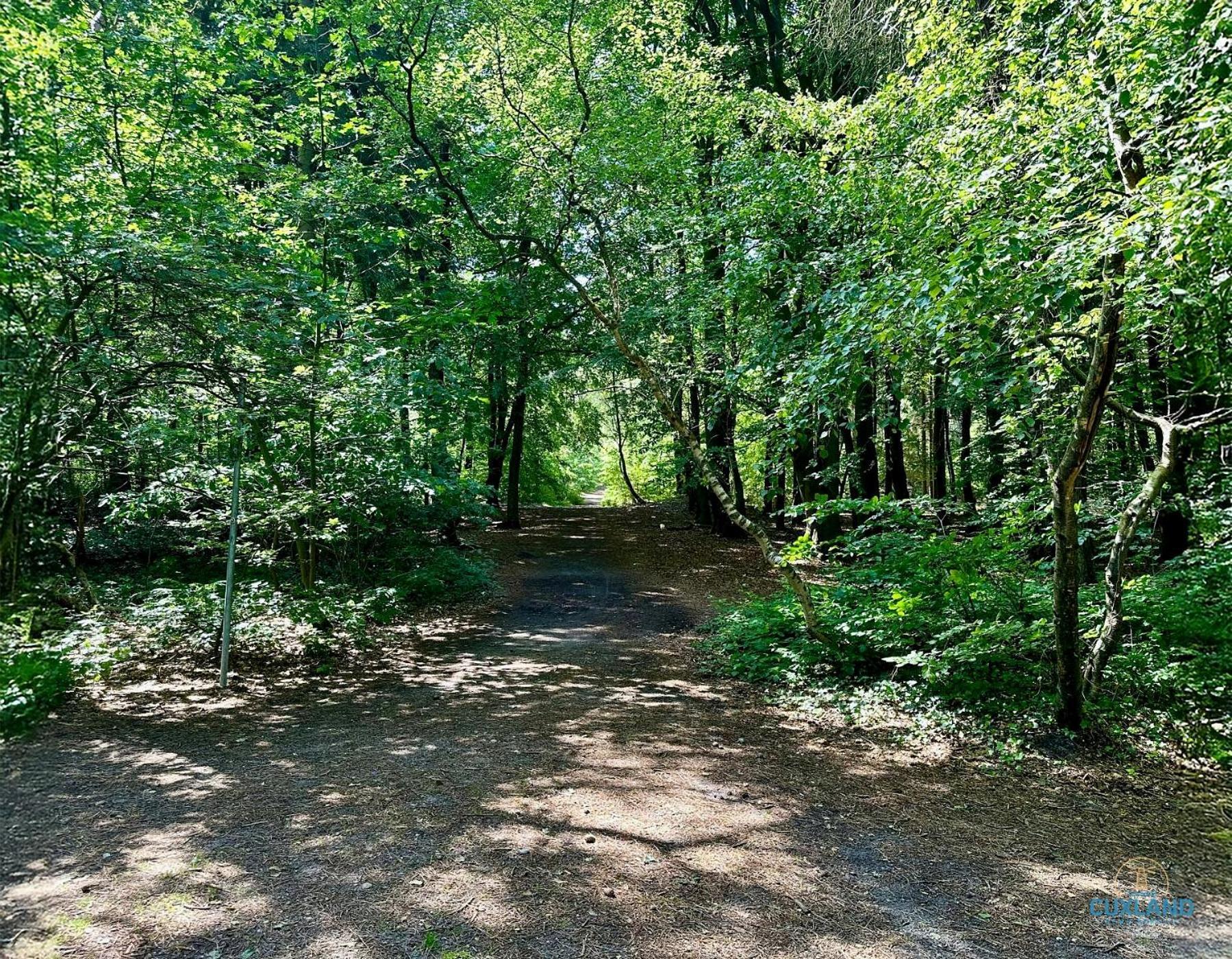Auszeit Am Wernerwald Im Haus Frauenpreiss Διαμέρισμα Κουξχάφεν Εξωτερικό φωτογραφία